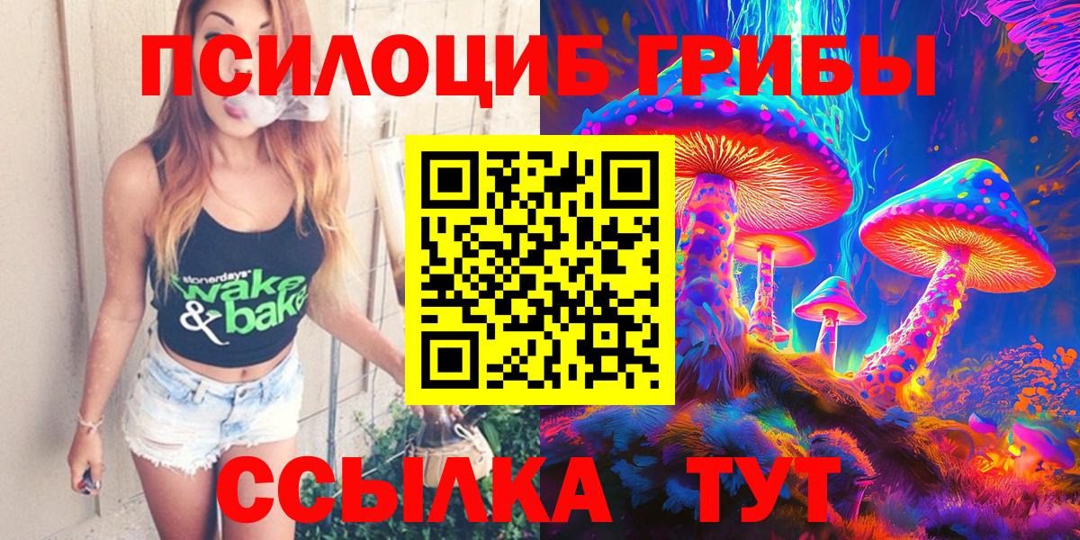 Галлюциногенные грибы Psilocybe  где найти наркотики  Черняховск  Вход с VPN  Галлюциногенные грибы Cubensis 