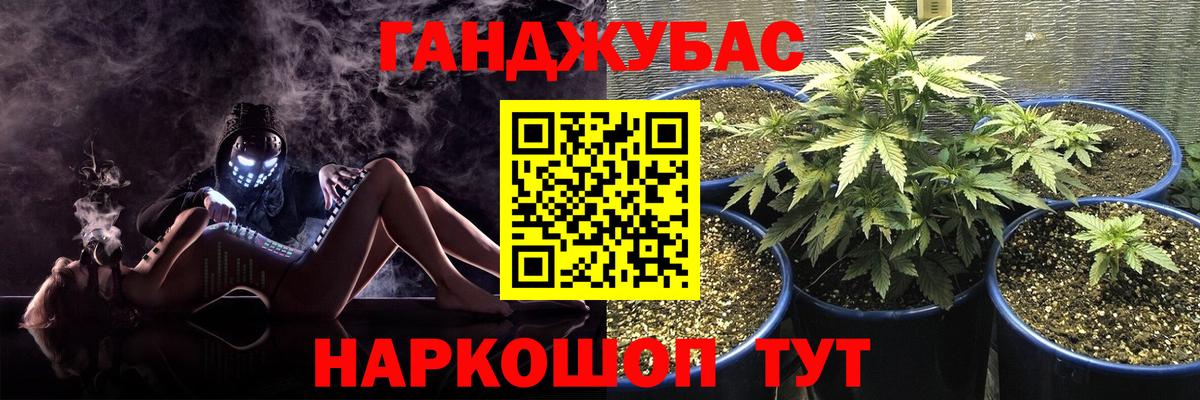 МАРИХУАНА план Черняховск
